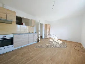 Pronájem bytu 2+kk, České Budějovice, 44 m2