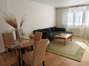 Prodej bytu 3+1, Karlovy Vary, nábřeží Jana Palacha, 96 m2