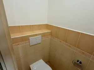 Pronájem bytu 3+kk, Mladá Boleslav, Havlíčkova, 82 m2