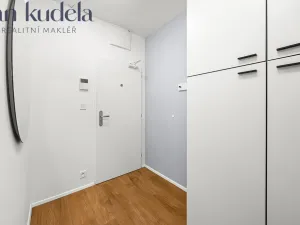 Pronájem bytu 1+kk, Brno, Cejl, 28 m2