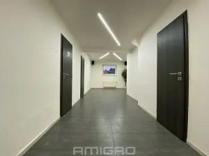 Pronájem obchodního prostoru, Brno, Merhautova, 56 m2