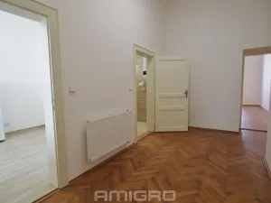 Pronájem bytu 1+1, Brno, Česká, 55 m2