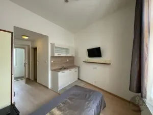 Pronájem bytu 1+kk, Praha - Žižkov, Prokopova, 16 m2