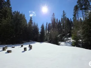 Prodej bytu 1+kk, Horní Blatná, Majakovského, 38 m2