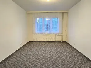 Pronájem bytu 2+1, Praha - Břevnov, Brunclíkova, 52 m2