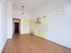 Prodej rodinného domu, Radovesice, 520 m2