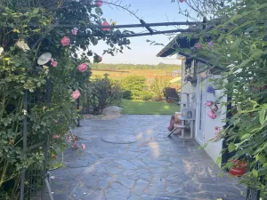 Prodej komerční, Pluhův Žďár - Jižná, 28792 m2