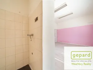 Prodej rodinného domu, Kynšperk nad Ohří, Jana Nerudy, 260 m2