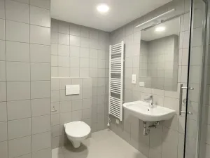 Pronájem bytu 1+kk, Olomouc, U solných mlýnů, 41 m2