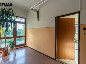 Pronájem bytu 2+kk, Litvínov - Horní Litvínov, Koldům, 53 m2