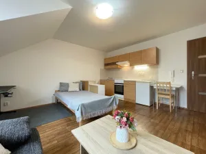 Pronájem bytu 1+kk, Olomouc - Nová Ulice, Balcárkova, 25 m2