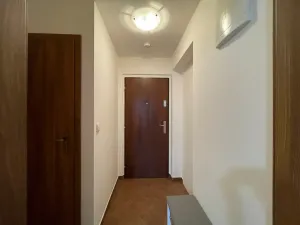 Pronájem bytu 1+kk, Olomouc - Nová Ulice, Balcárkova, 25 m2