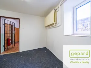 Prodej rodinného domu, Merklín, 279 m2