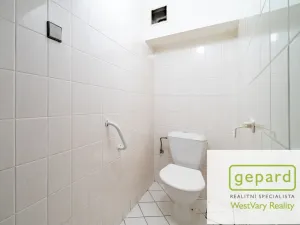 Prodej rodinného domu, Merklín, 279 m2