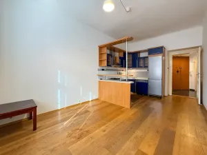 Prodej bytu 2+kk, Praha - Holešovice, U průhonu, 48 m2