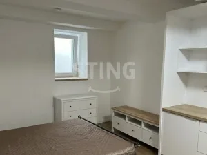 Pronájem bytu 1+kk, Ostrava, S. K. Neumanna, 30 m2