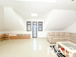 Prodej rodinného domu, Hodonín, Muchova, 235 m2