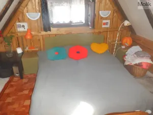 Prodej chalupy, Blatno - Zákoutí, 250 m2