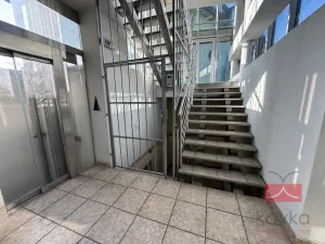 Prodej komerční nemovitosti, Světlá nad Sázavou, Lánecká, 1000 m2