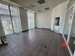 Prodej komerční nemovitosti, Světlá nad Sázavou, Lánecká, 1000 m2