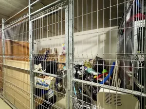 Pronájem bytu 3+kk, Brno, Řípská, 70 m2