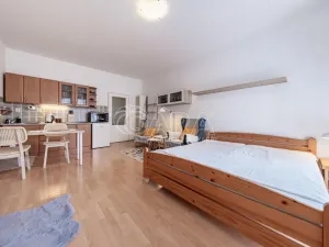 Pronájem bytu 1+kk, Praha - Záběhlice, Záběhlická, 32 m2