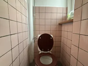 Pronájem bytu 2+1, Dobřany, Stromořadí, 64 m2