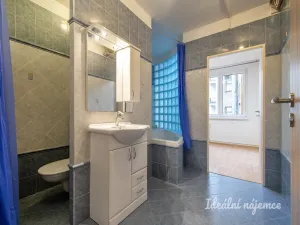 Pronájem bytu 3+kk, Praha - Žižkov, Přemyslovská, 65 m2