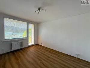 Pronájem bytu 2+1, Most, U Stadionu, 55 m2