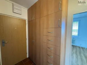 Pronájem bytu 2+1, Most, U Stadionu, 55 m2