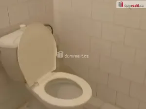 Pronájem bytu 1+kk, Praha - Zbraslav, K výtopně, 20 m2