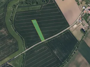 Prodej pole, Pacetluky, 6457 m2