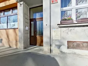 Pronájem bytu 1+kk, Praha - Braník, Branická, 33 m2