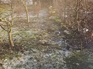 Prodej zahrady, Kocbeře, 407 m2