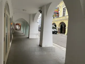 Prodej obchodního prostoru, České Budějovice - České Budějovice 1, Krajinská, 92 m2