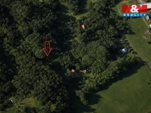 Prodej lesa, Semily, 1939 m2