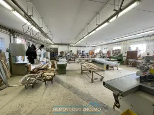 Pronájem výrobních prostor, Petrovice, 360 m2