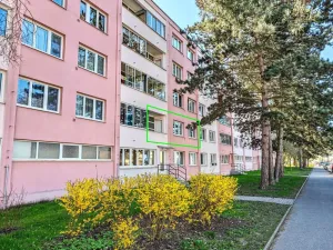 Prodej bytu 3+1, Pardubice - Polabiny, Nová, 58 m2