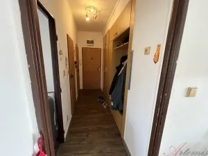 Prodej bytu 3+1, Studénka - Butovice, A. Dvořáka, 62 m2