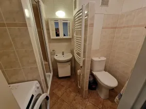 Pronájem bytu 1+1, Brno, Božetěchova, 46 m2