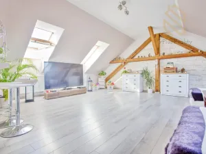 Prodej atypického bytu, Hrobčice - Razice, 244 m2