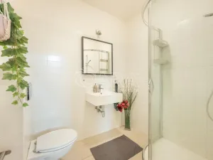 Pronájem bytu 1+kk, Praha - Vinohrady, Mánesova, 53 m2
