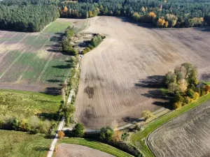 Prodej pole, Řípec, 49992 m2