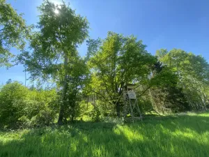 Prodej lesa, Kropáčova Vrutice - Sušno, 15167 m2