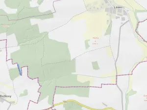 Prodej lesa, Blížejov - Lštění, 4624 m2