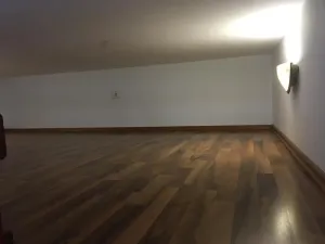 Pronájem bytu 1+kk, Praha - Vysočany, Freyova, 22 m2