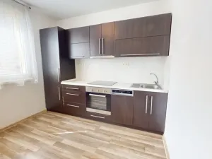 Pronájem bytu 1+1, Ostrava - Mariánské Hory, Korunní, 37 m2