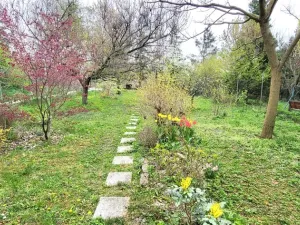 Pronájem bytu 2+kk, Brno - Černá Pole, 50 m2