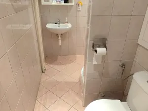 Prodej bytu 2+1, Cheb, Májová, 55 m2