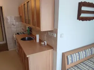 Prodej bytu 2+1, Cheb, Májová, 55 m2